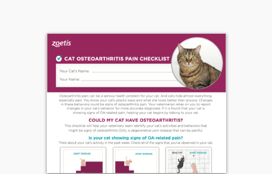 cat-osteoarthritic-updated