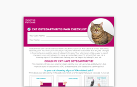 cat-osteoarthritic